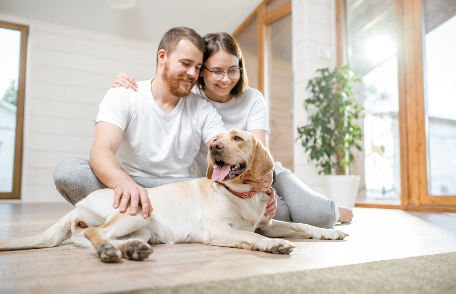 7 Tips to Consider Before You Bring Home Your New Pet